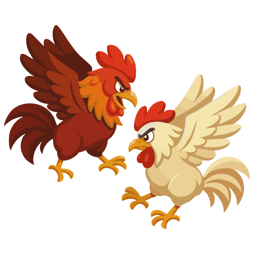cockfight
